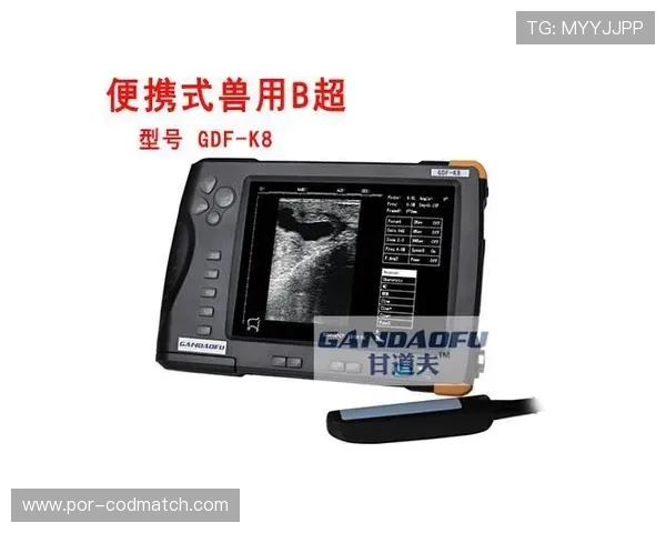 k8体育手机登录界面优化指南,提升用户登录体验和操作便捷性 k8体育手机登录界面优化指南,提升用户登录体验和操作便捷性